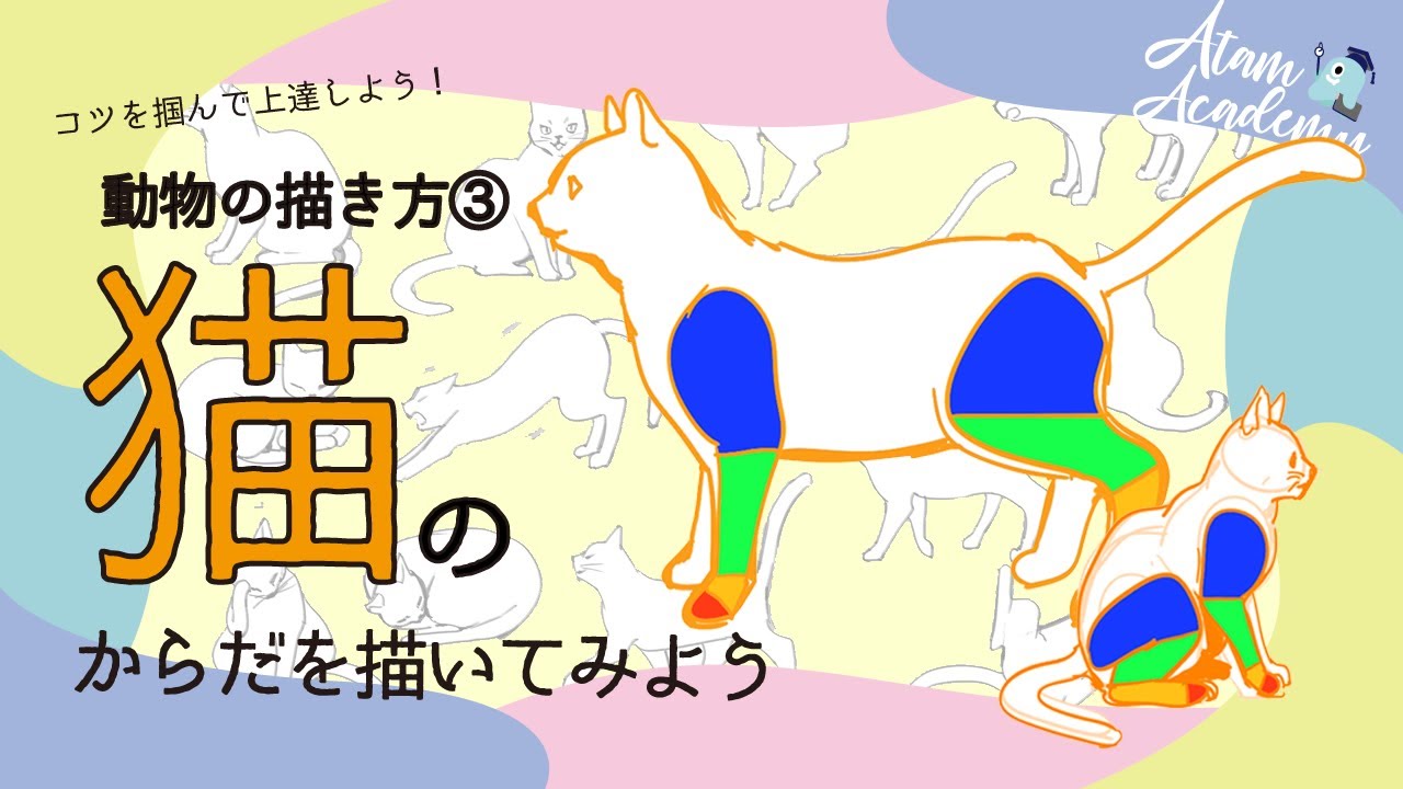 初心者も簡単！猫のからだの描き方【イラスト上達基礎講座 動物の描き方】