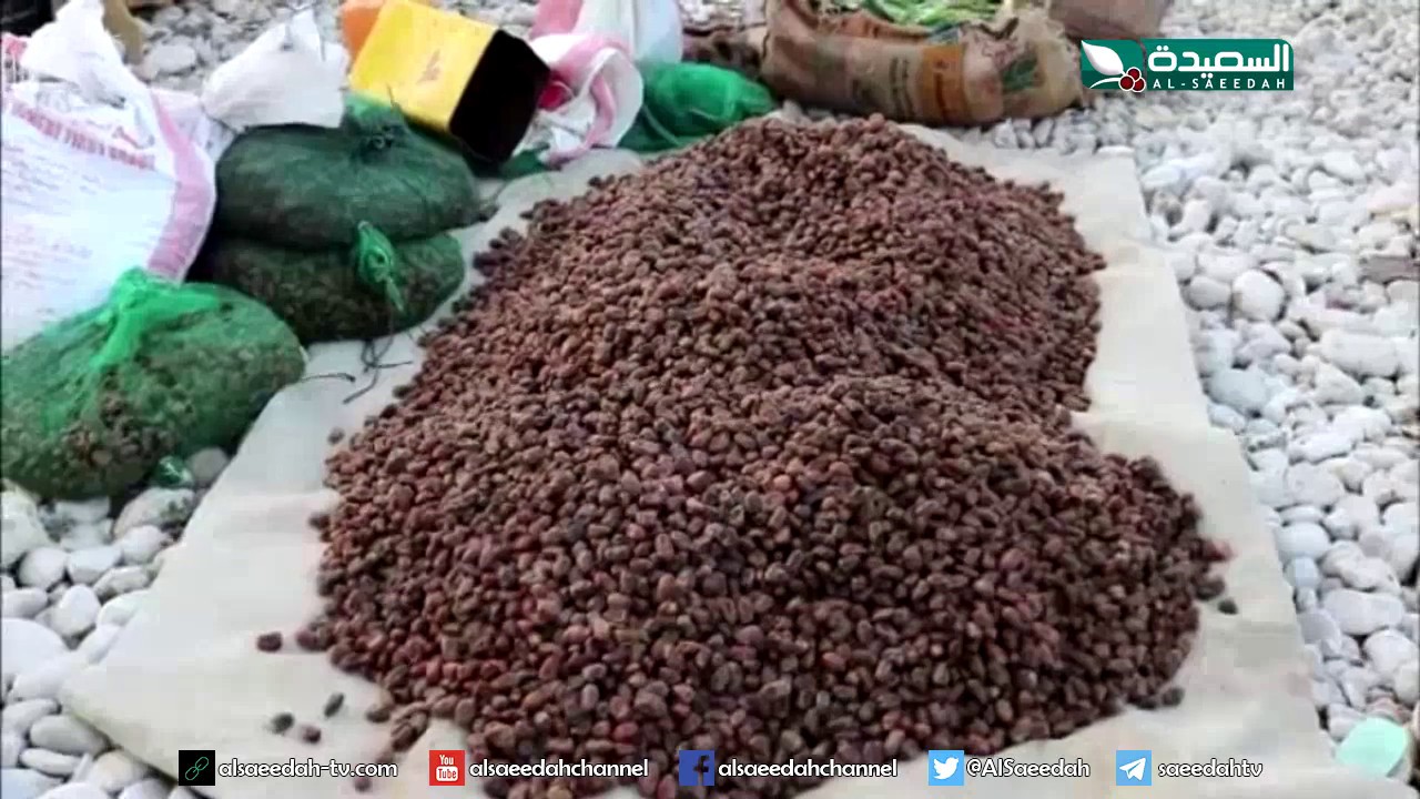 سوق الأربعاء في دوعن حضرموت (18-10-2019)
