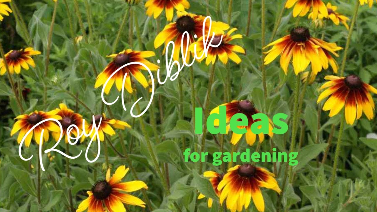 Design With Simple Beginnings!  Episode #140