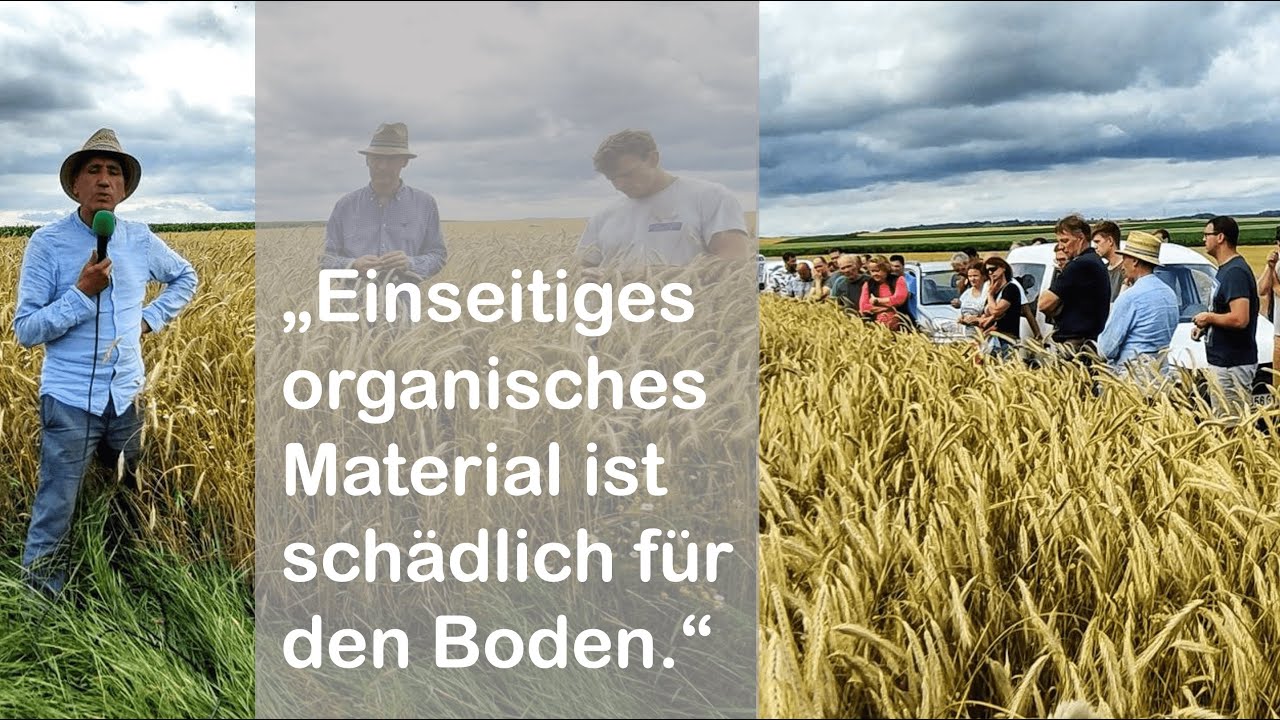 Getreidebau, D&uuml;ngung und Bodenvorbereitung - Erkenntnisse aus Praxis & traditioneller Landwirtschaft