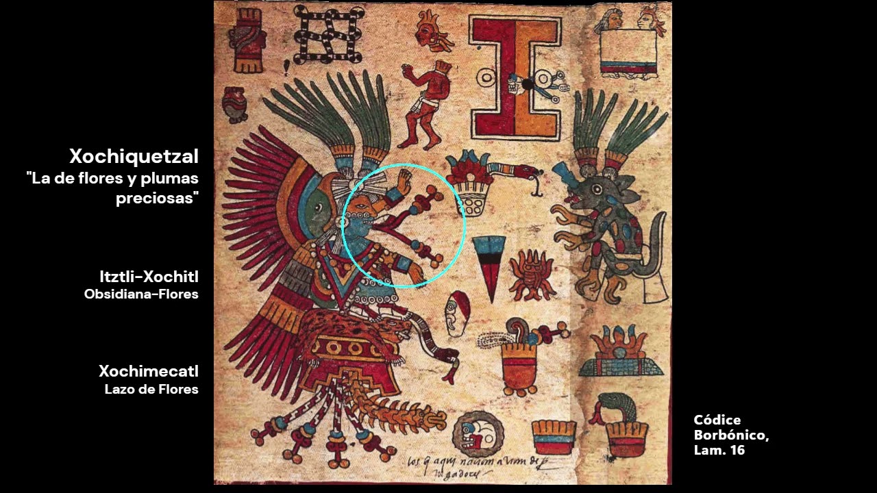 260209 21 Ce Cuauhtli