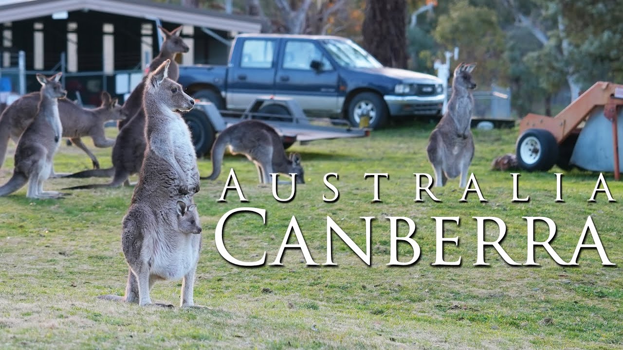 [호주 캔버라 여행] 호주의 진짜 수도, 캔버라를 가보자 / Australia Canberra Travel Vlog