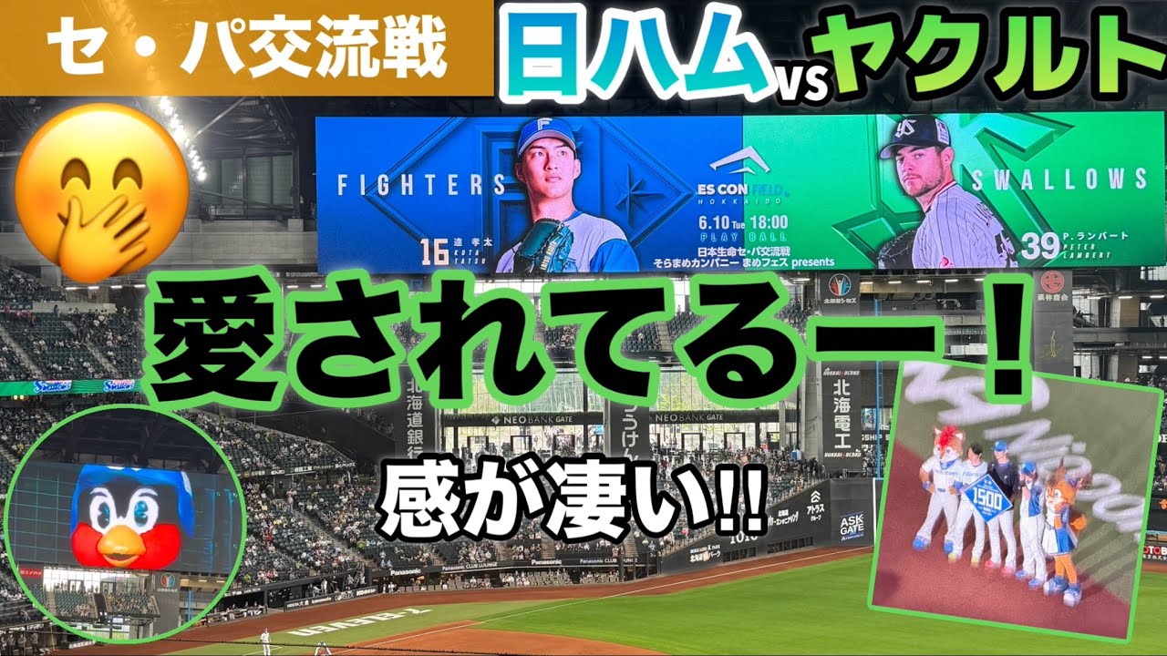 セ・パ交流戦‼︎ ヤクルト戦で野球にハマった！うきゃっwとにかく楽しい！日ハム対ヤクルト戦再び…🤭
