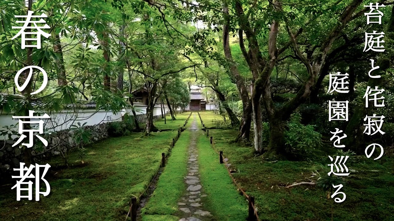 春に訪れたい京都の苔庭と侘寂の庭園｜Moss Gardens and Wabi-Sabi Landscapes to Visit in Kyoto in Spring