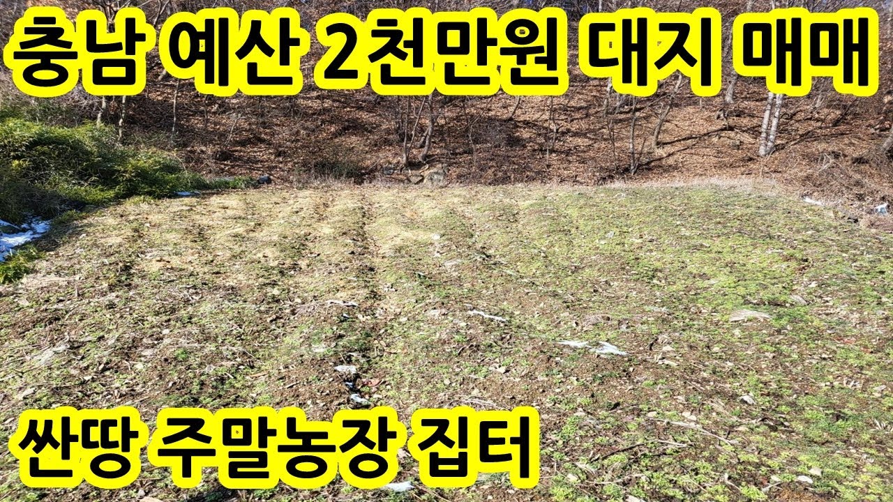 2천만원 대지 산밑 조용한곳 2천만원 국유지 도로접 싼땅 전원주택지 주말농장 농터 농막 세컨하우스 부지 농지 충남 예산군 대흥면 땅 토지 매물 매매