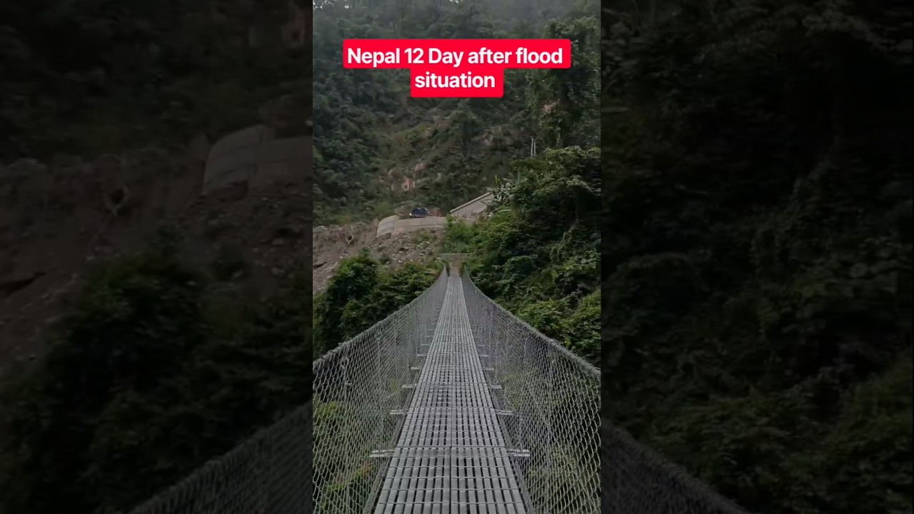 12 Days After the Flood 😢 | Nepal & Uttarakhand Flood Situation | India Flood Update #shorts