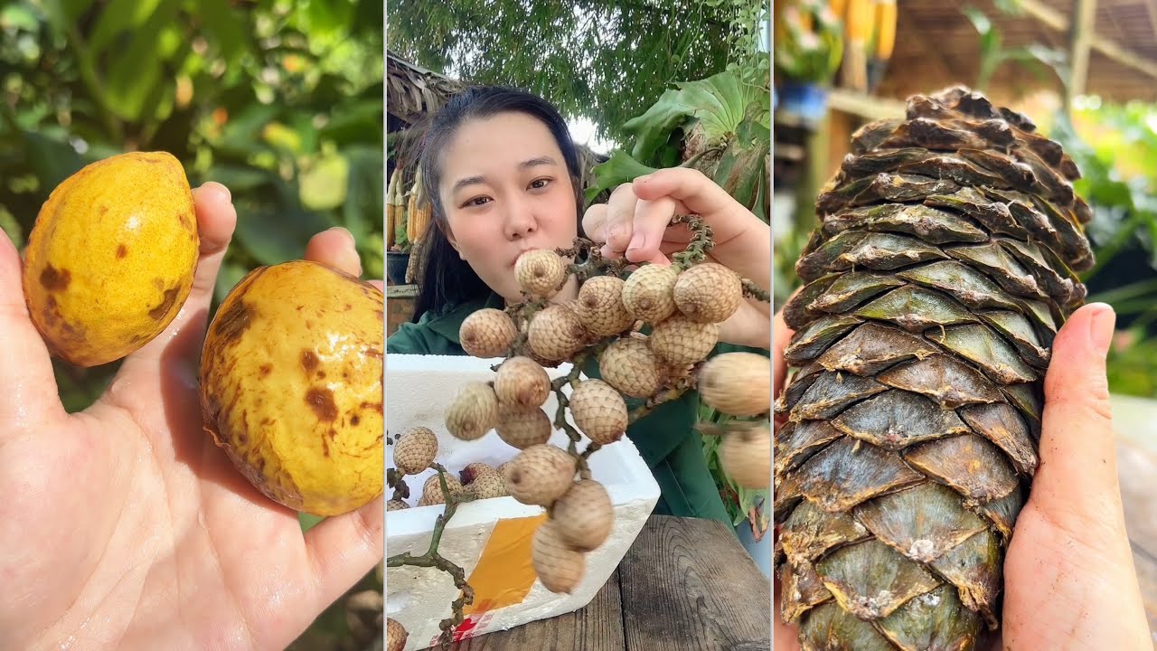 Thử những loại trái cây lạ #catlai 