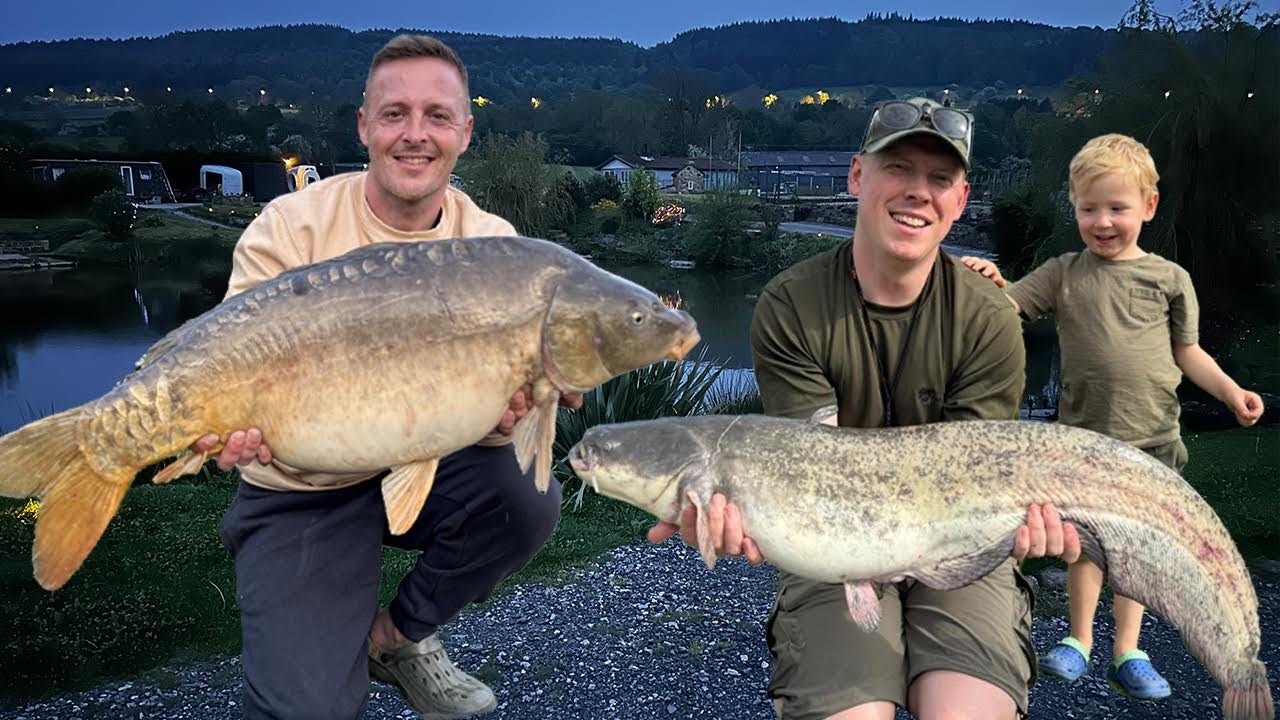 Carp & Catfish at Tom's Pond, Otley