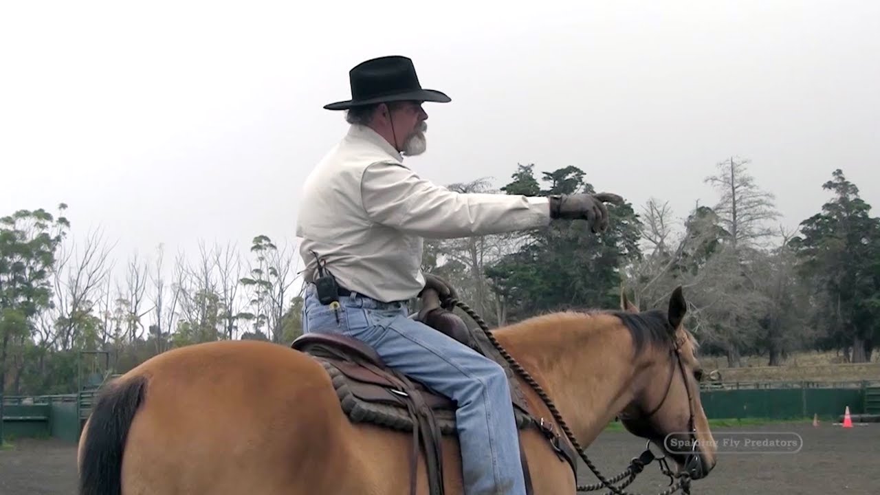Learn To Ride Horses with Horseman Lester Buckley, Respect