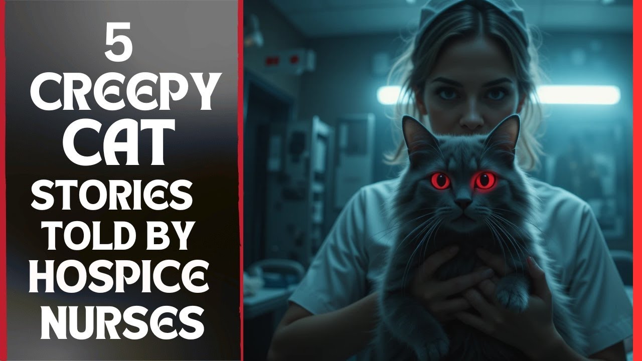 5 CREEPY CAT STORIES TOLD BY HOSPICE NURSES