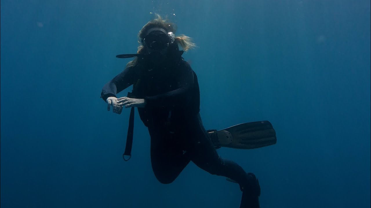 Day 48 - Diving with Manta Rays