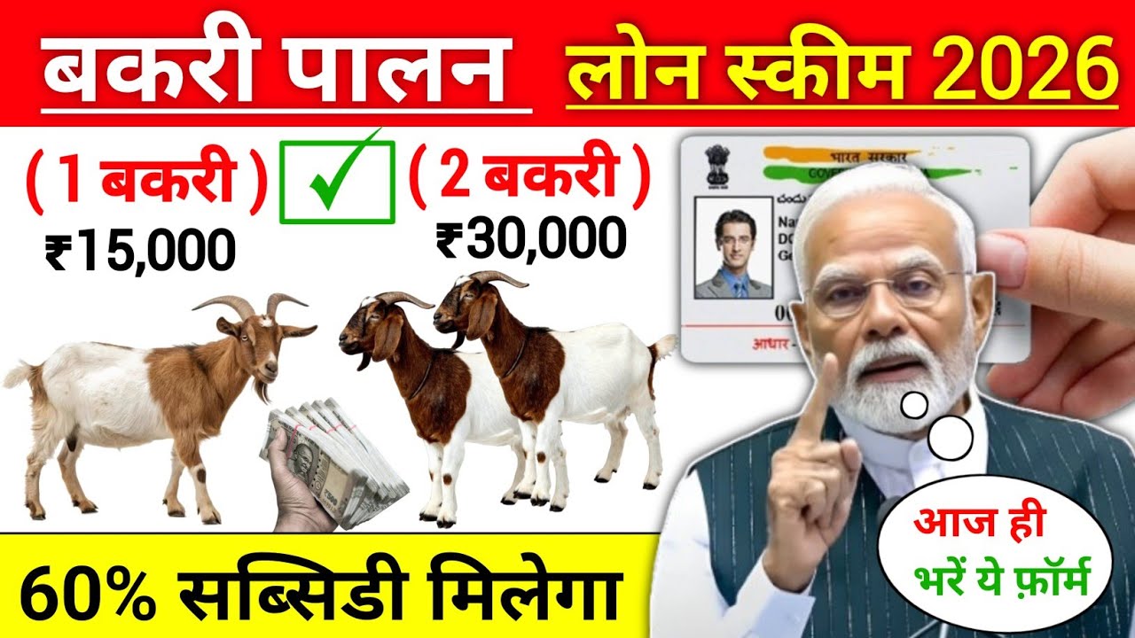बकरी पालन योजना 2026 | Goat Farming Business Loan Scheme 3 Lakh to 50 Lakh | bakari loan kaise le 