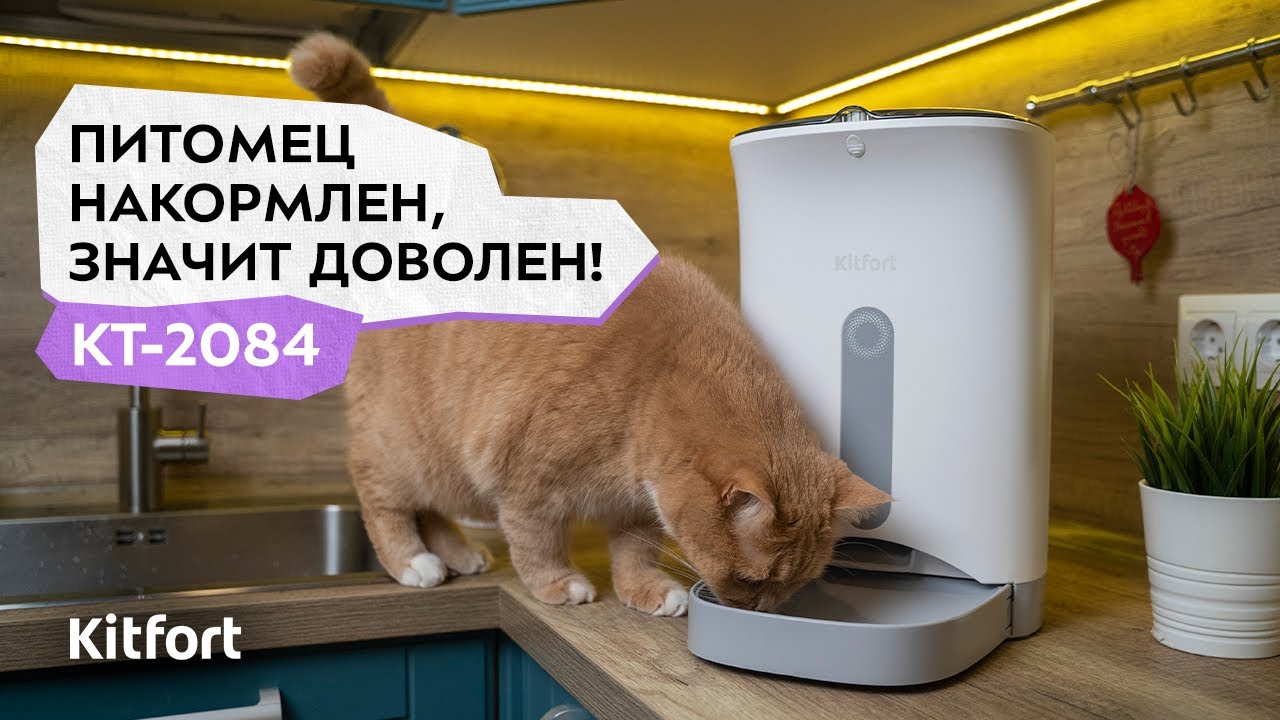 Умная кормушка для животных Kitfort КТ-2084