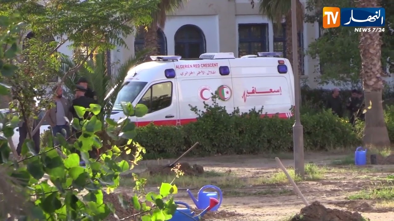 باتنة : تحضيرات على قدم وساق لإنجاح غرس مليون شجرة