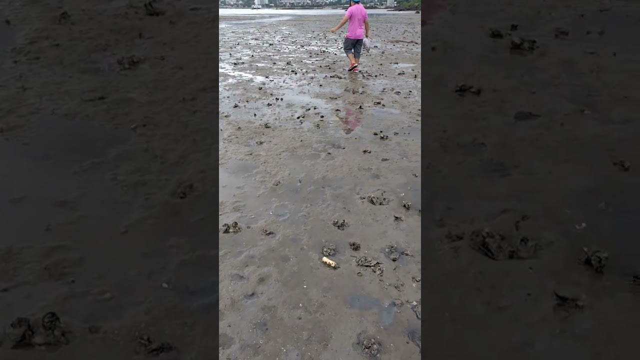 WALKING IN A LOW TIDE AREA (MUD)