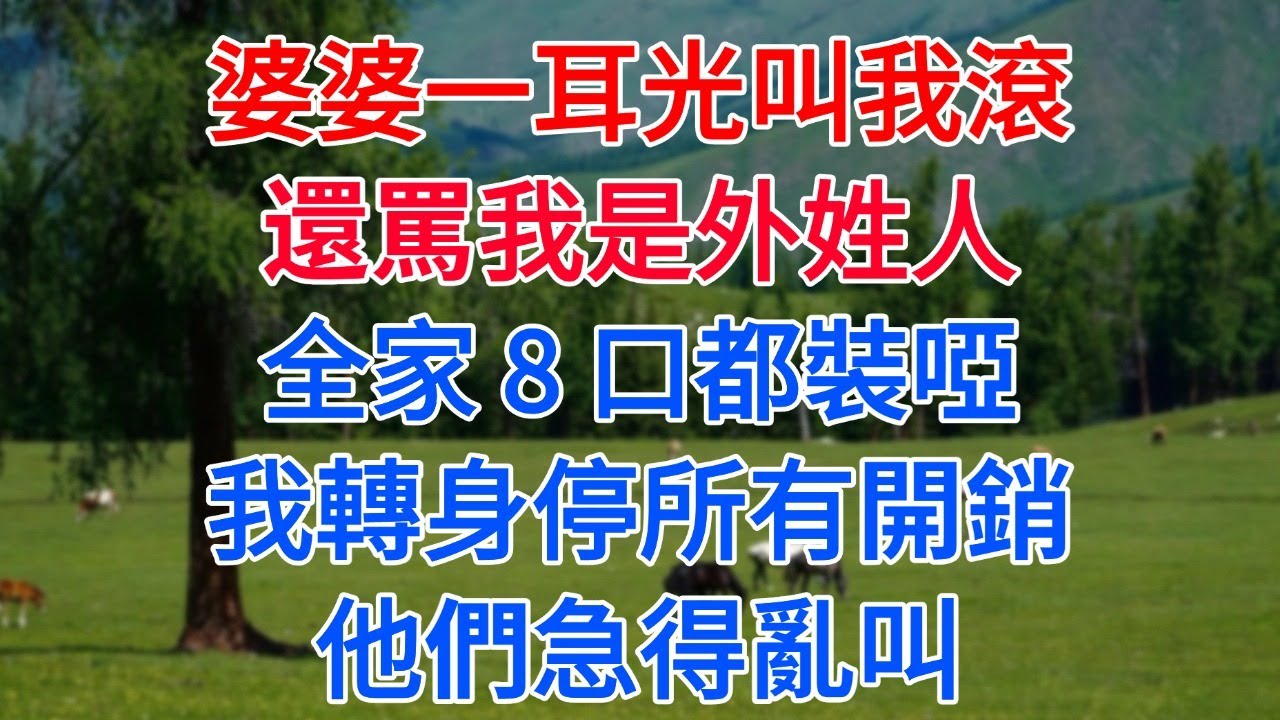婆婆一耳光叫我這個外姓人滾，全家8口裝啞巴，我轉身停掉所有開銷，他們急得亂叫#為人處世#生活經驗#情感故事#故事#小說#戀愛#情感#婚姻