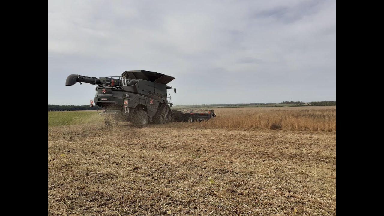 soybean harvest w. massey ferguson ideal 9t 2020, hungary