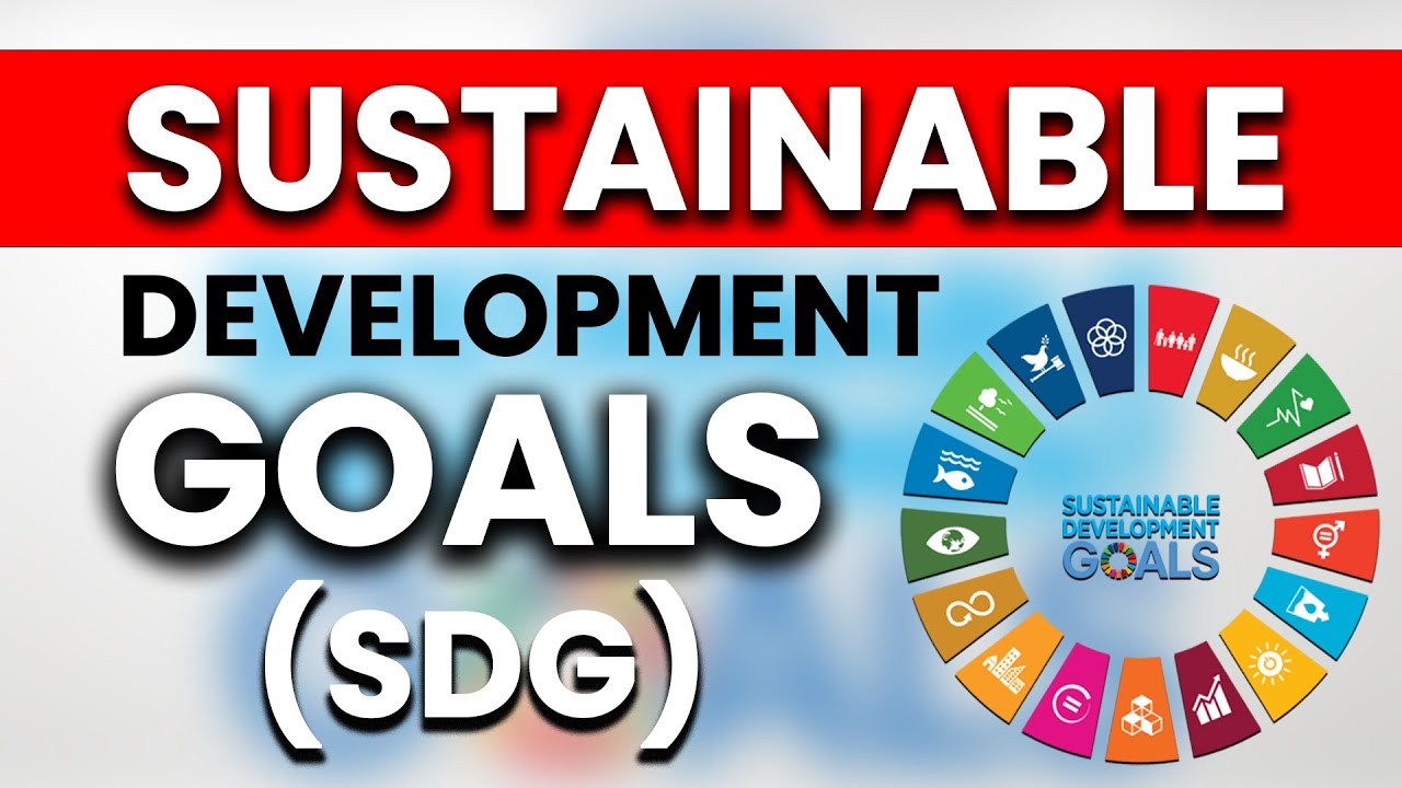 Sustainable Development Goals (SDGs) Explained In Less Than 30 Mins| Ecoholics