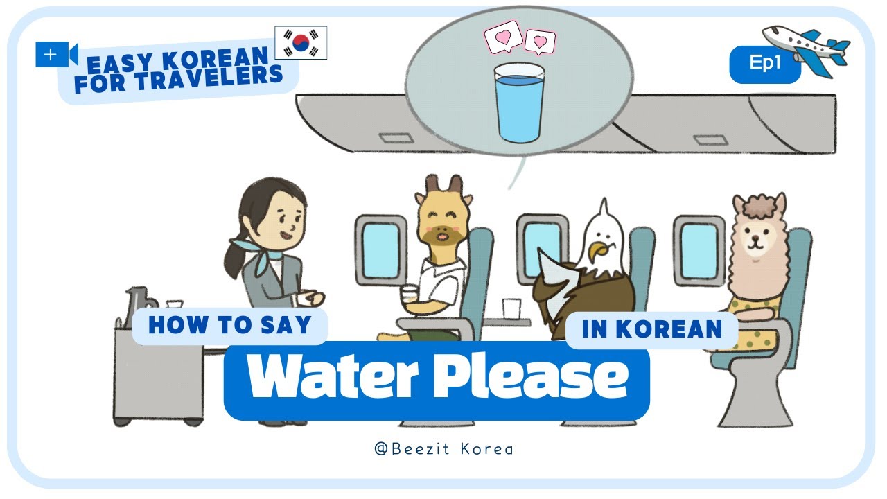 EP.1 On the Plane ✈️ Must-Know Phrases for Flying | Easy Korean Speaking for Travelers 101 (*sub)
