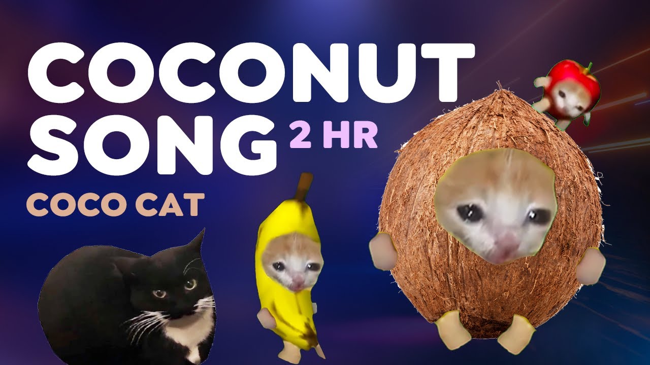 COCONUT SONG 🥥🐱 (2 HOURS) #coconut  #bananacat #maxwellcat #funny
