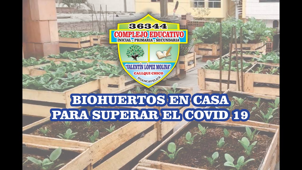 BIOHUERTO EN CASA