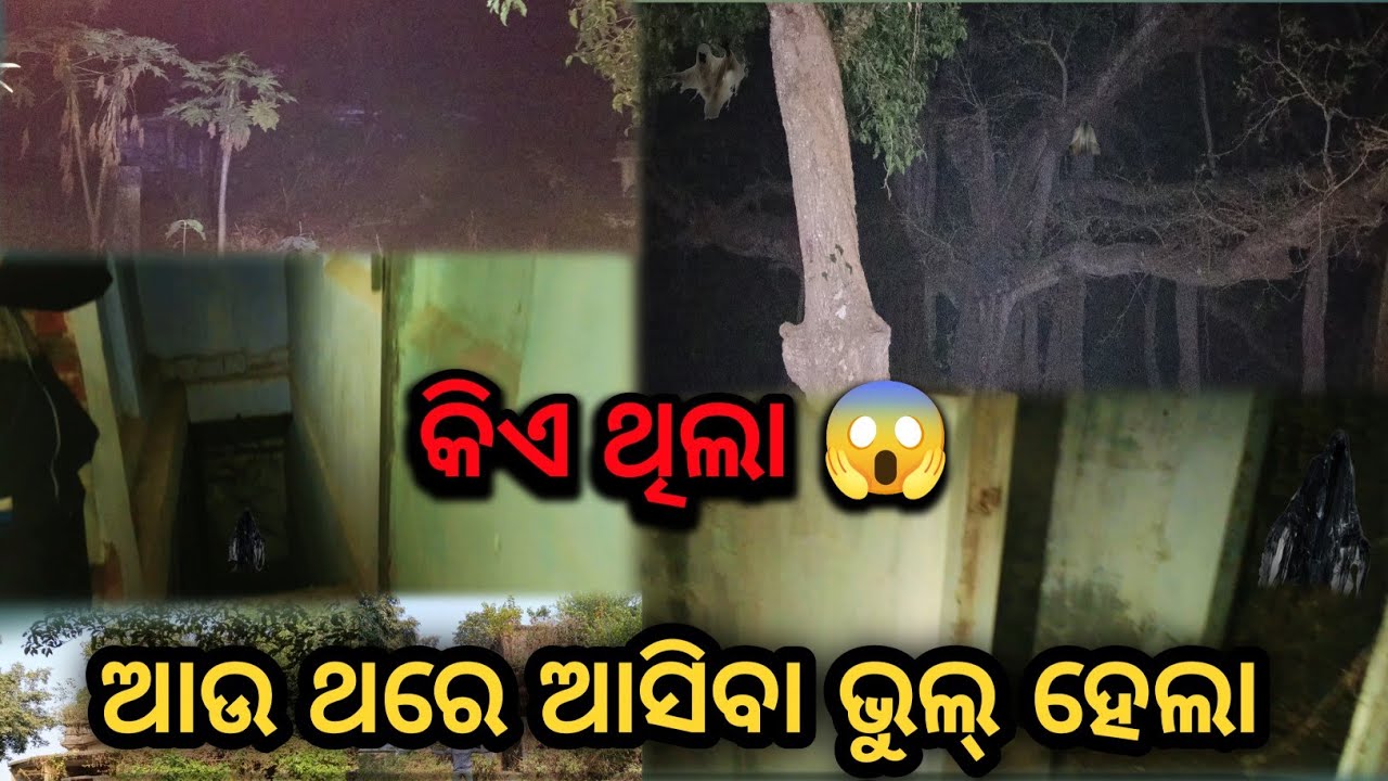  ଆଉ ଥରେ ଆସିବା ଭୁଲ୍ ହେଲା ! :  କିଏ ଥିଲା 😱