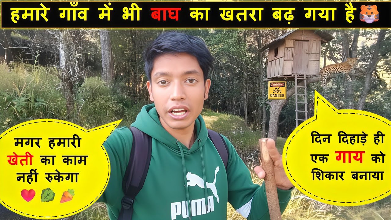 बाघ और भालू का खतरा हमारे गाँव में 🐯 मूली,गाजर,पालक लगा दिए खेतों में❤️| BAIJRO | #uttarakhand