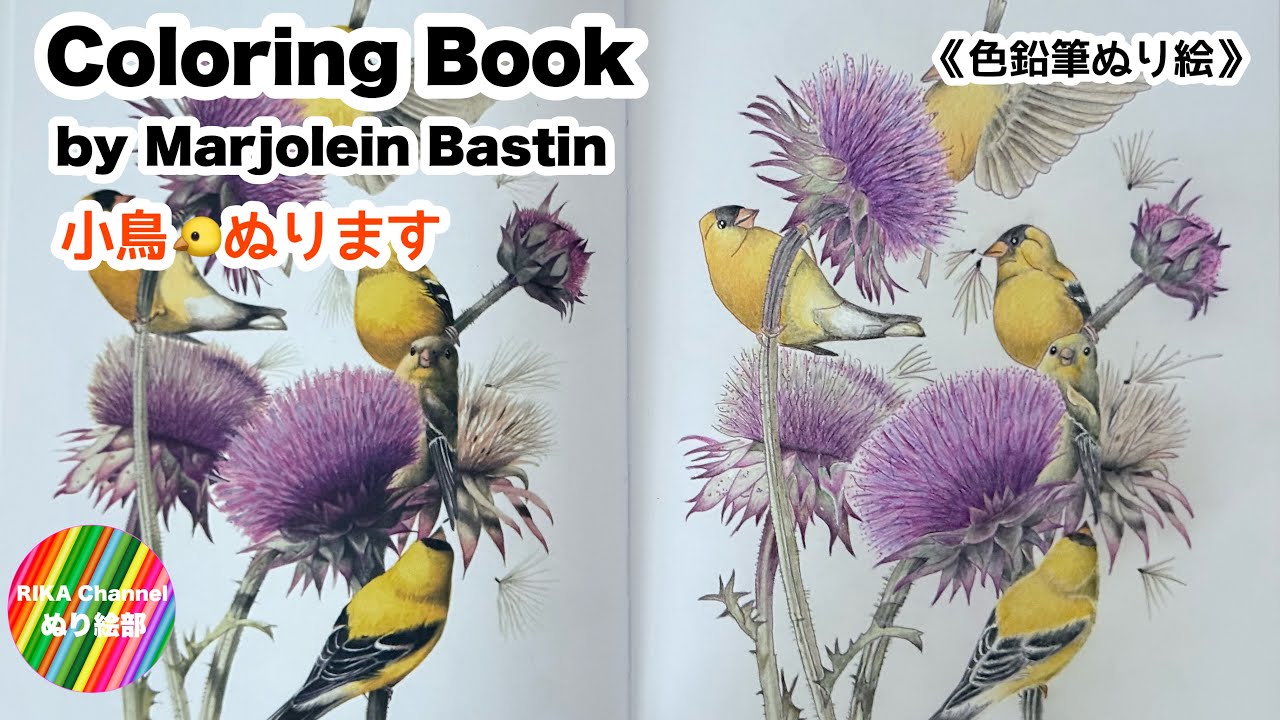 ✏️ぬり絵【Coloring Book by Marjolein Bastin 】小鳥 Little Bird