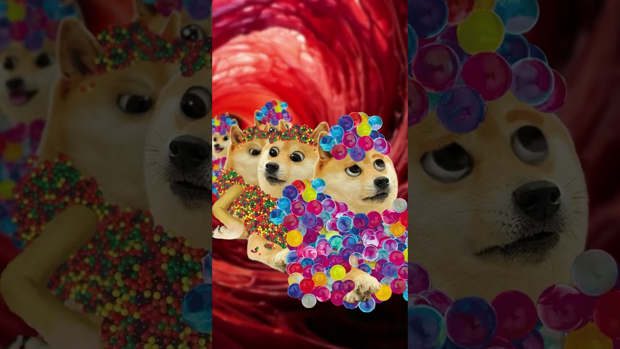 Orbeez stomach explotion #shorts