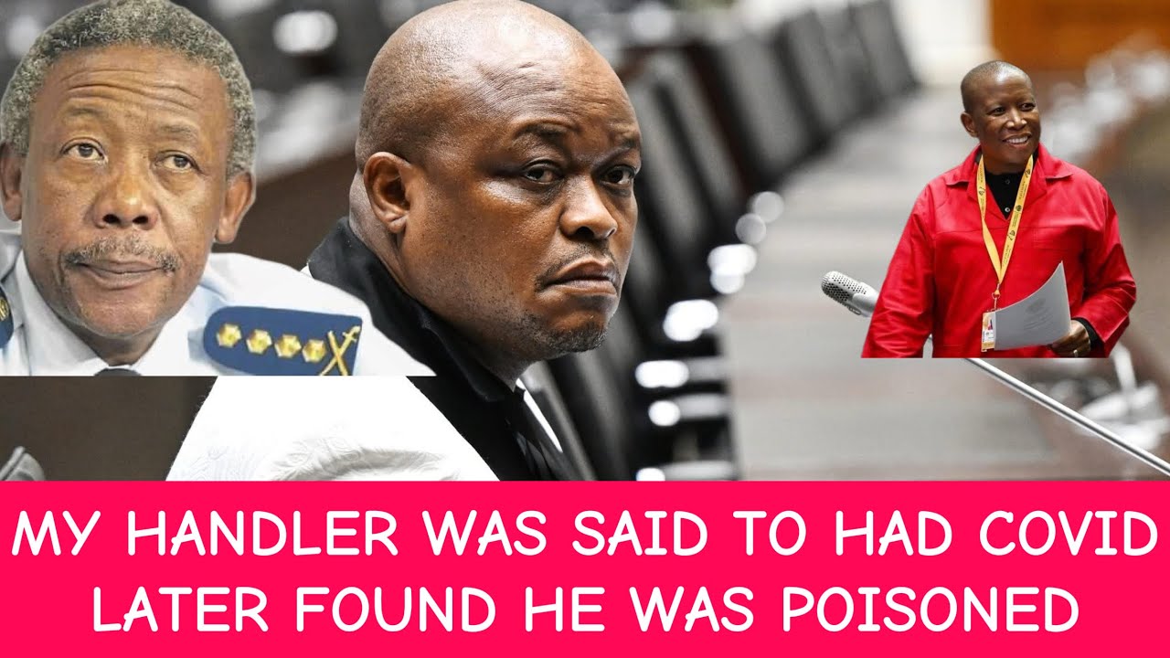 BROWN MOKGOTSI QUESTIONED ON MATLALA AND GEN MKWANAZI MEETING CRIMINALS