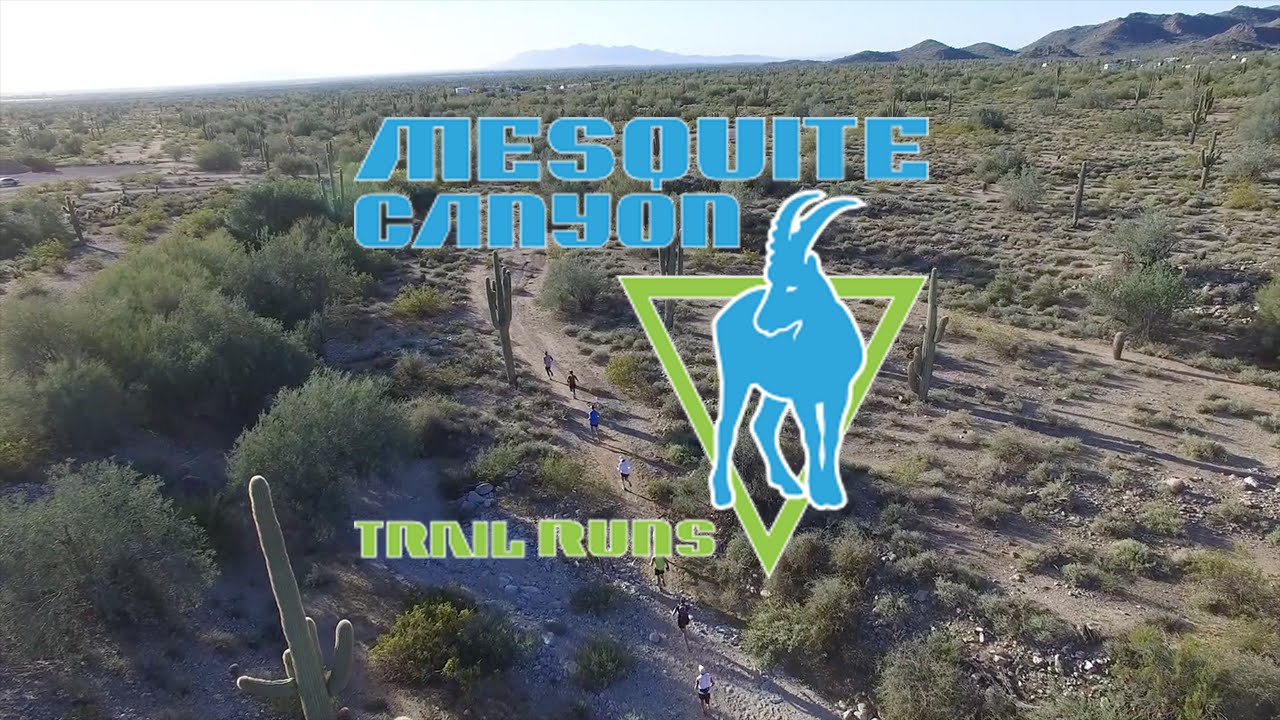 Mesquite Canyon Trail Runs - Aravaipa Running
