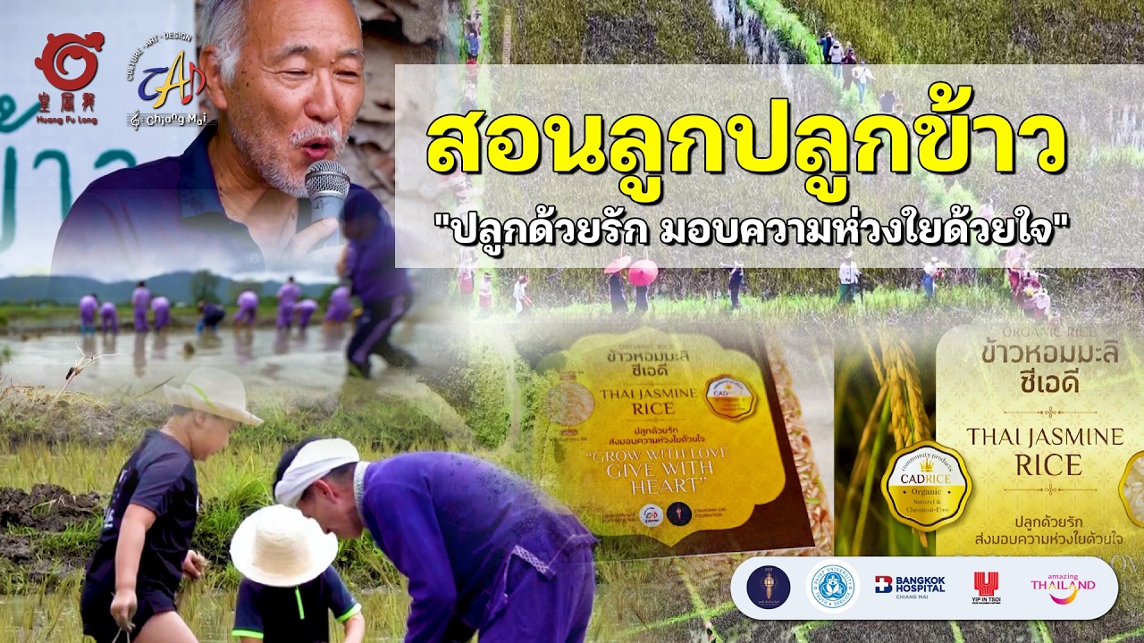 สอนลูกปลูกข้าว 