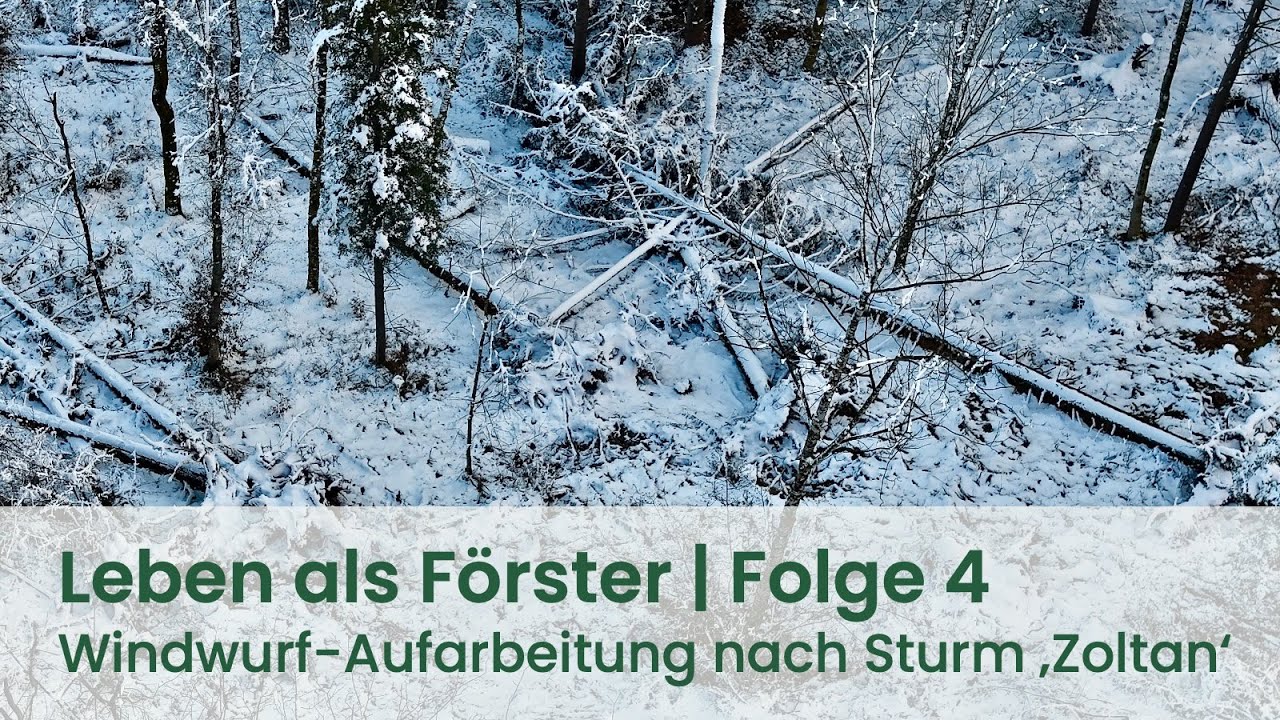 Leben als Förster | Folge 4: Windwurf-Aufarbeitung nach Sturm Zoltan