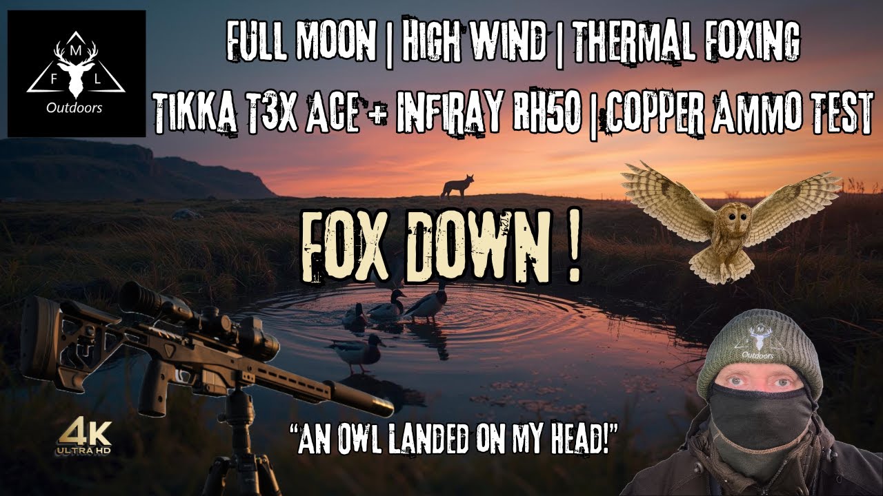 MFL Outdoors — Night Foxing и Tikka T3X Ace .308 + Infiray Rico RH50 | Медные боеприпасы в действии