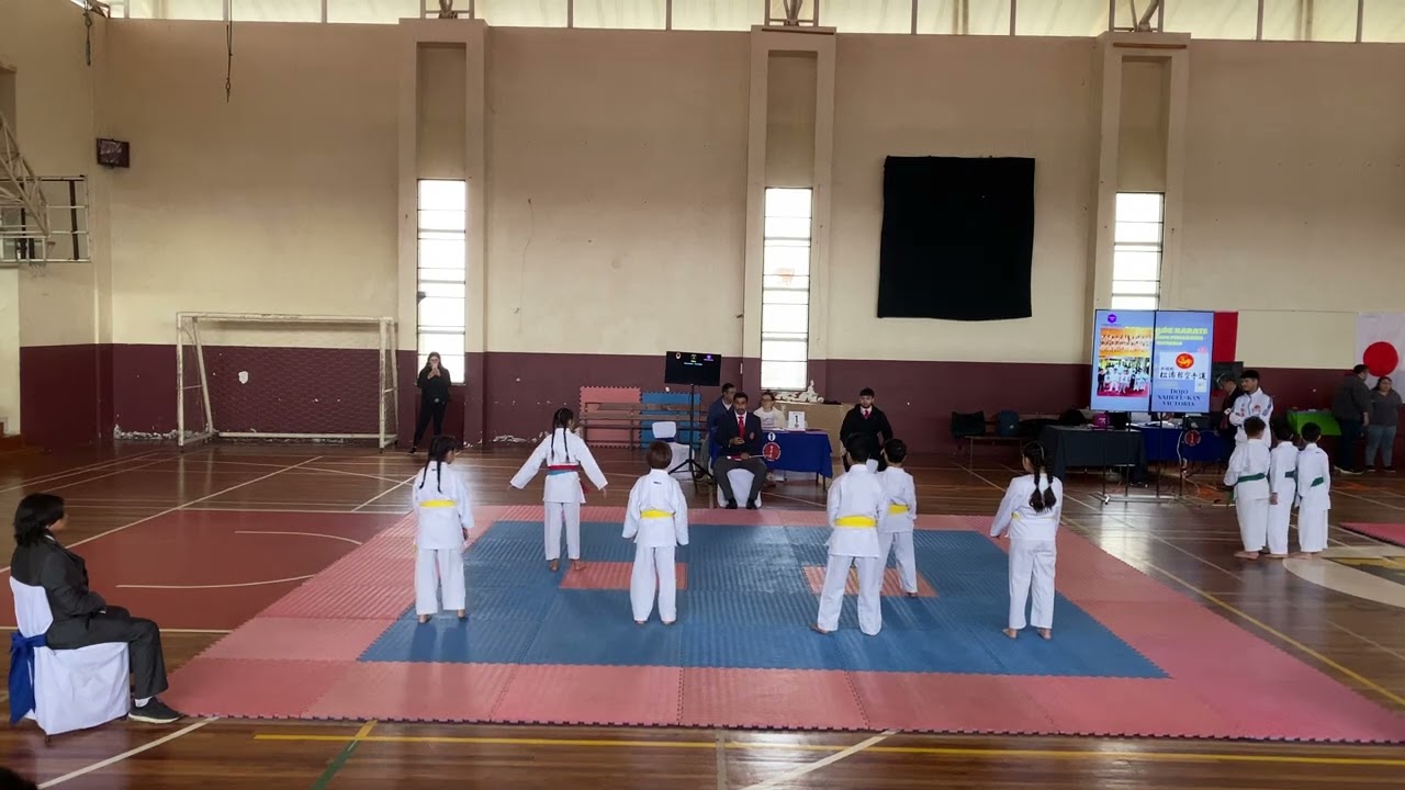 Kata equipo 8-12-2024