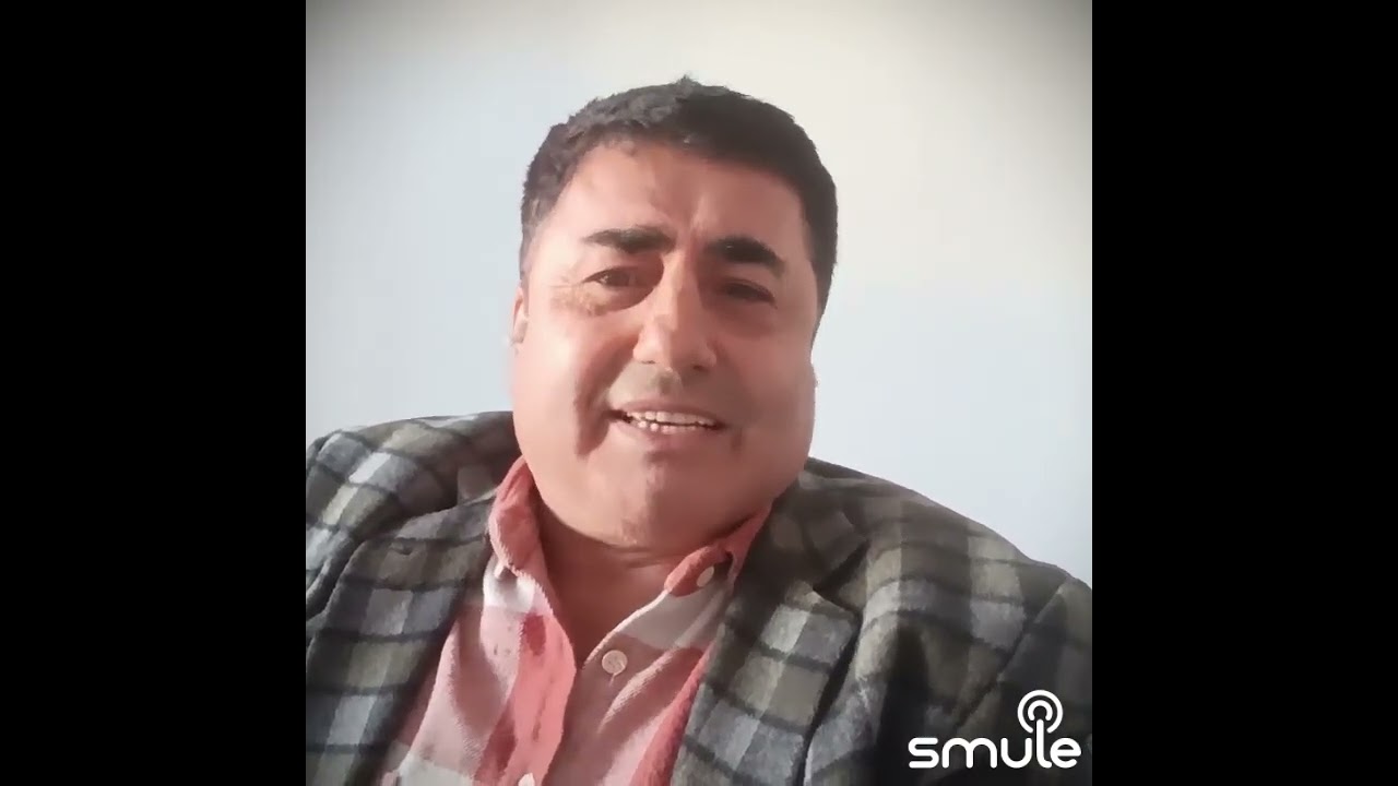 Yeşil çam TSM 