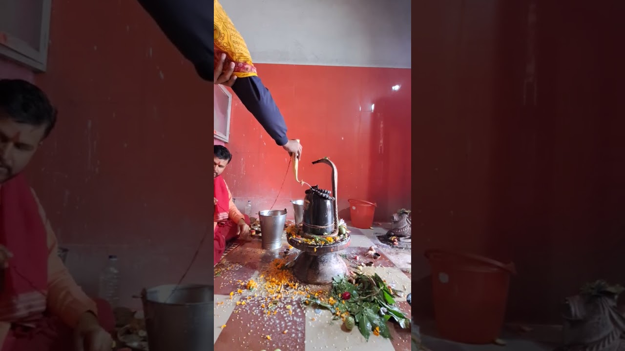 Jai Shiv Shambhu #shivshakti #shivshankar #rudrabhishek #Mahashivratri # PPC A TO Z 