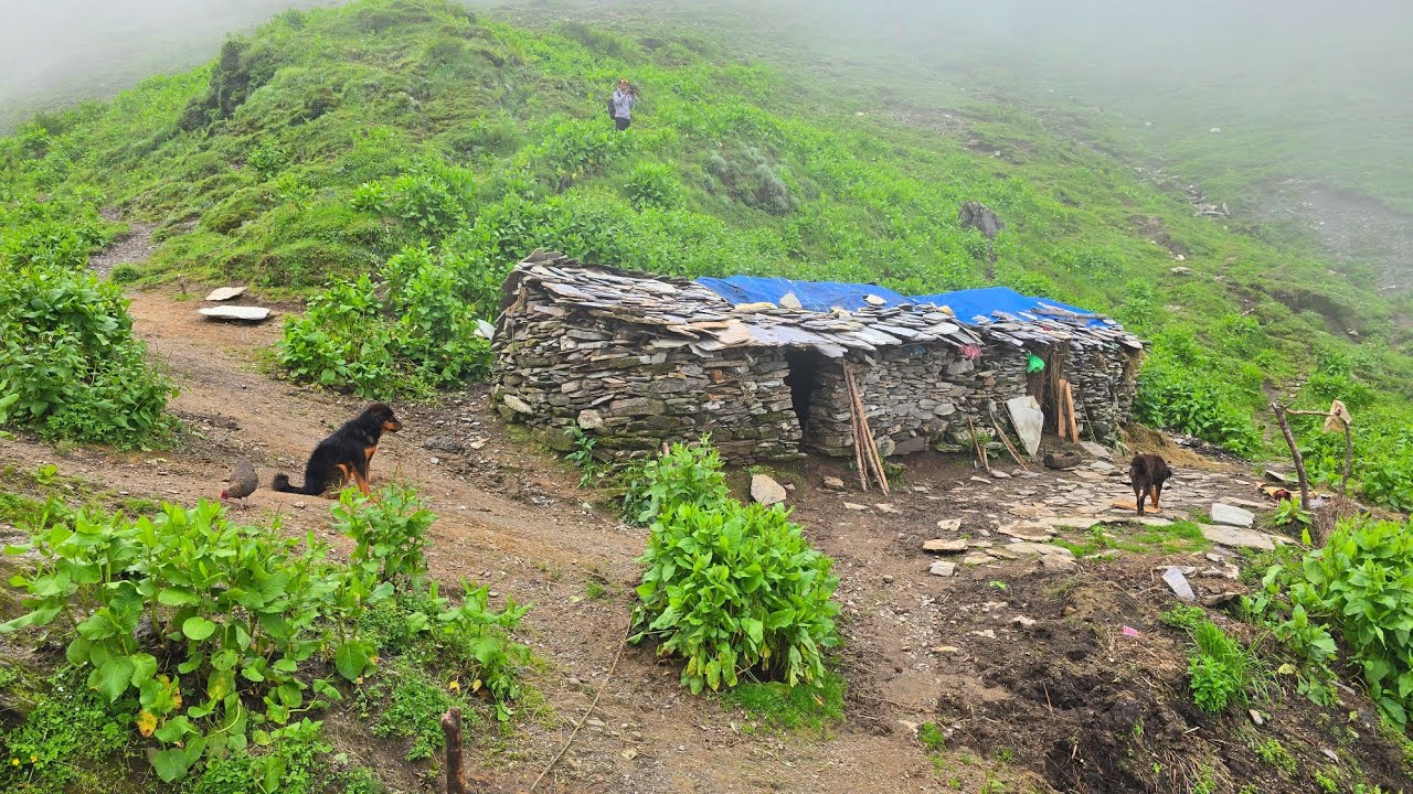 Naturally Beautiful Mountain Village Life During the Rain | Most Peaceful And Relaxation Rural Life