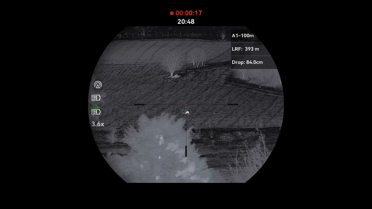 HIKMICRO Stellar SQ50L 3.0 • Wild Boar 400m