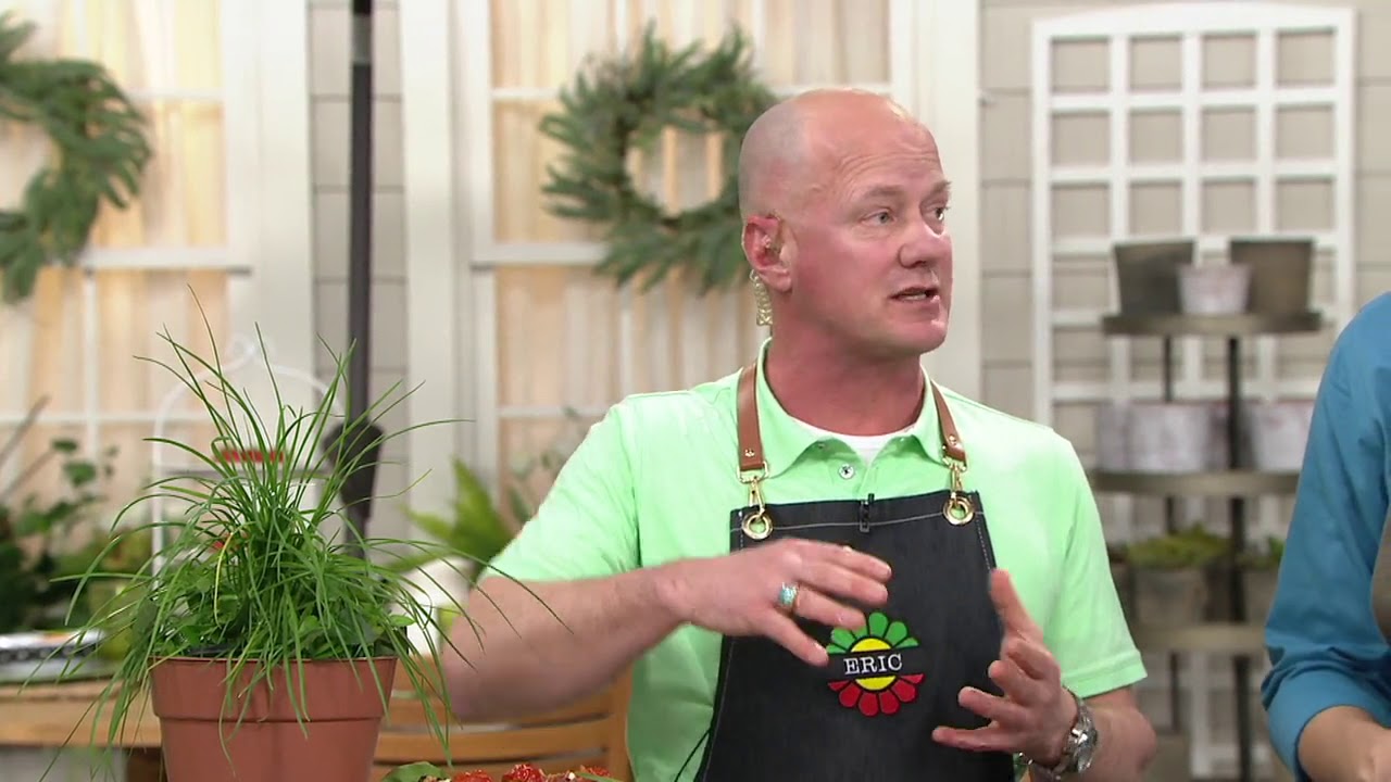 Roberta's 6-Piece Patio Bruschetta Garden on QVC