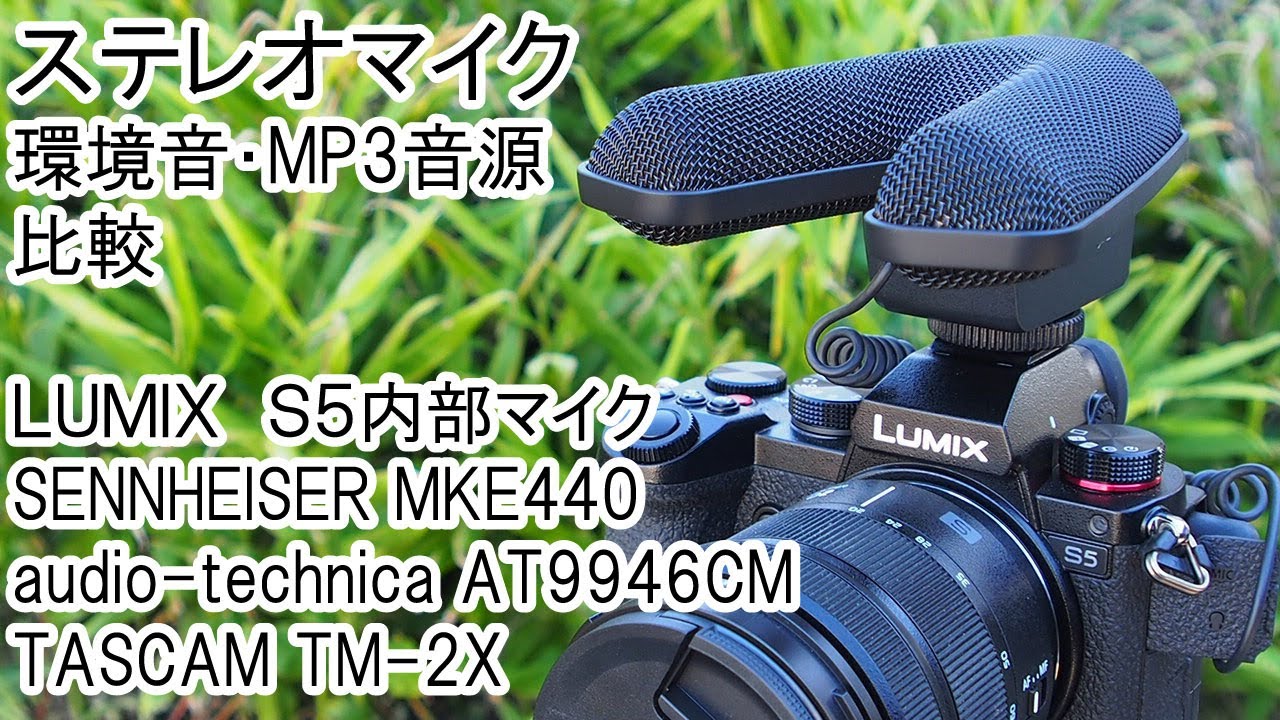 【ヘッドホン・大音量推奨】ステレオマイク環境音・MP３音源比較