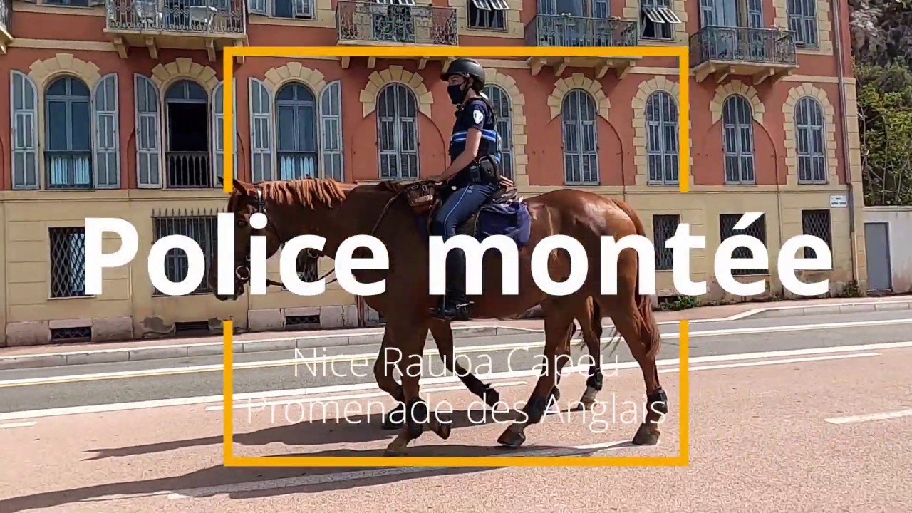 Police montée Nice