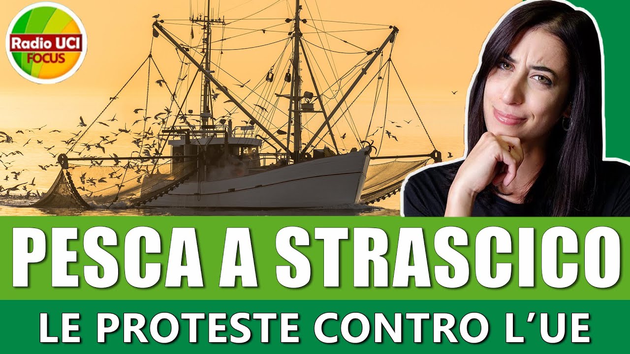 🎣Pesca a strascico🎣: Le proteste contro l'Ue