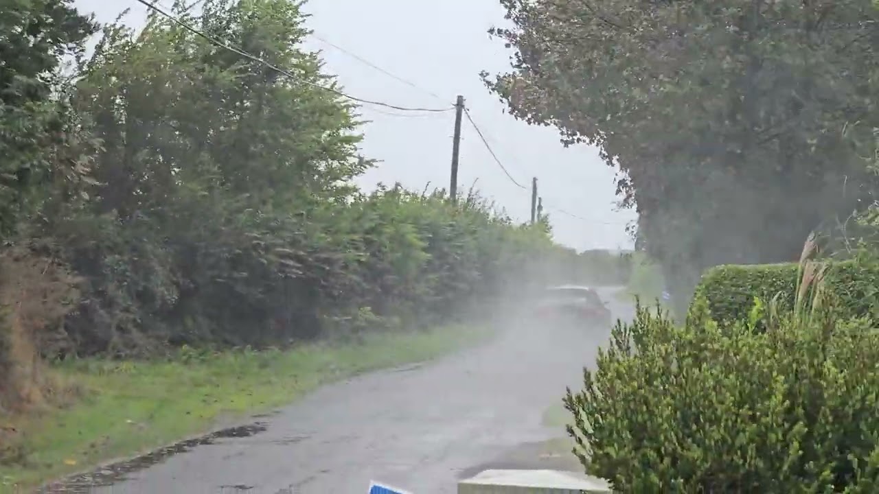 Wexford Stages Rally Stage 13