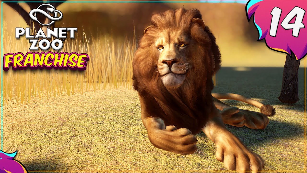 Planet Zoo - Endlich Löwen! | Franchise (Gameplay | Deutsch)