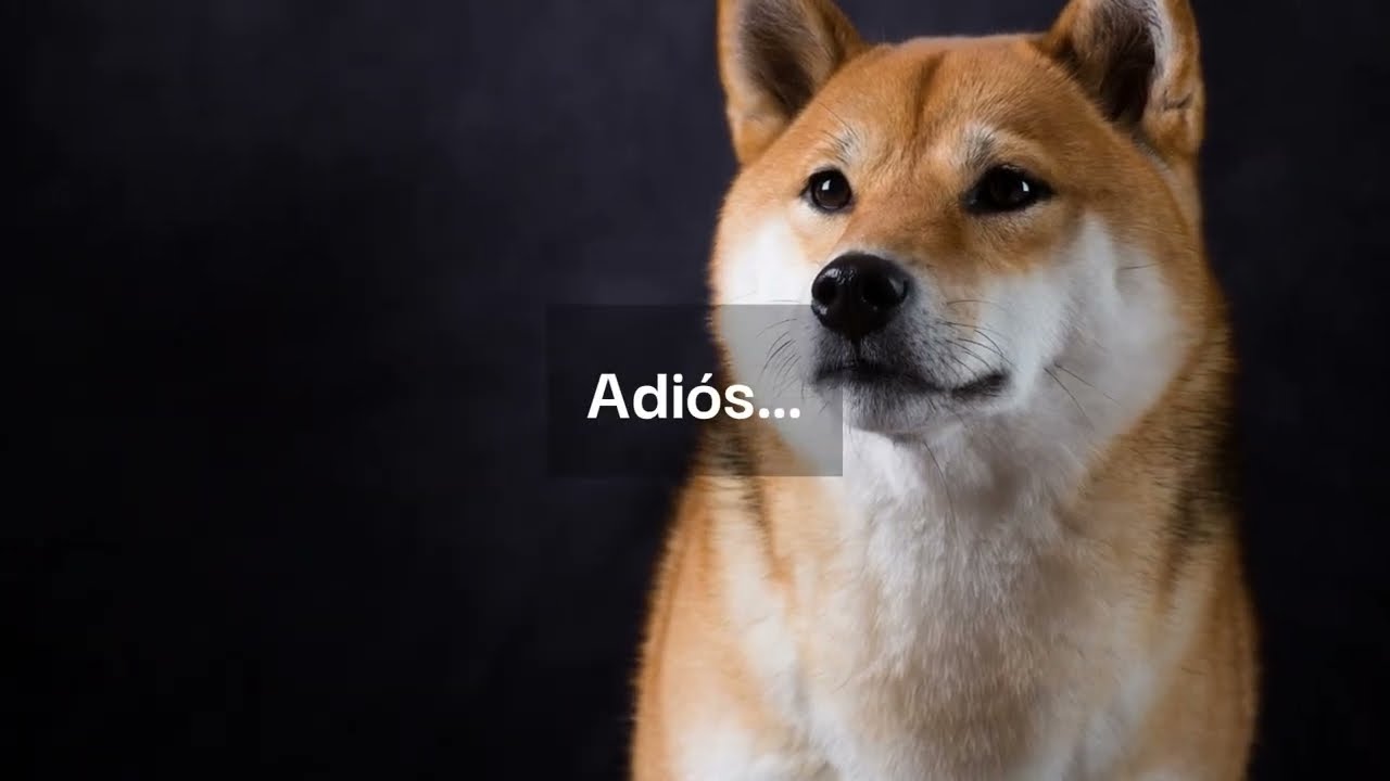 Lo Intentamos Tanto 💔 | Balada Corta Venas que Duele de Verdad