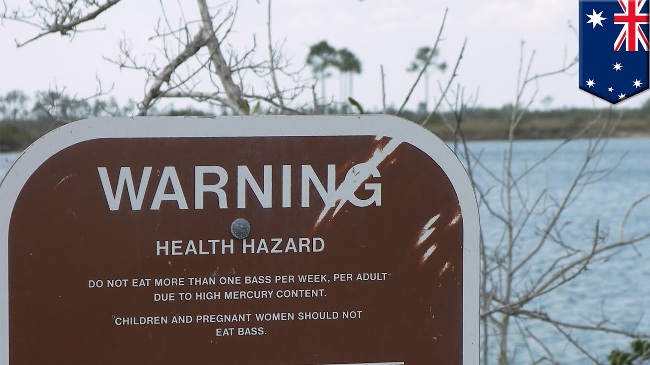 Orange peel might be key to  solving mercury contamination