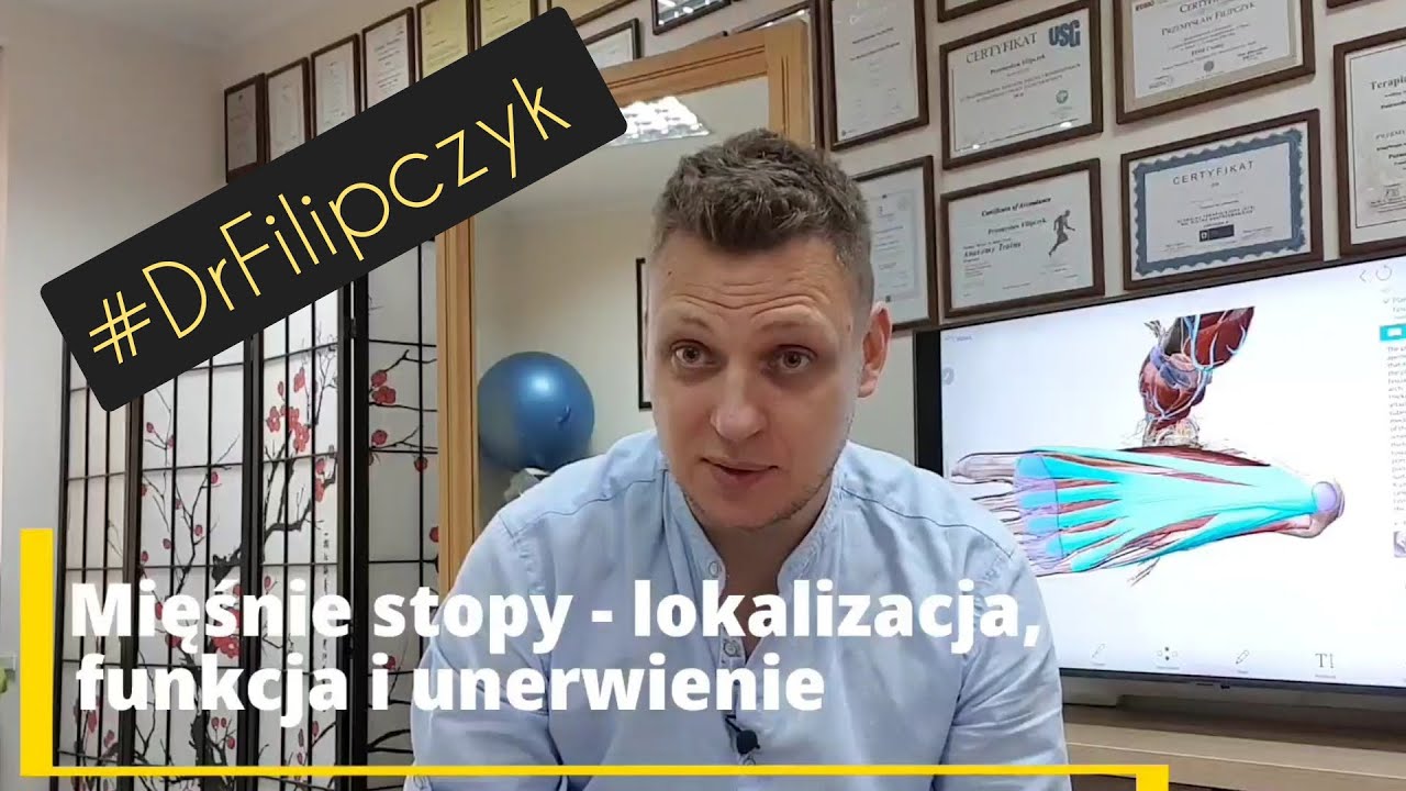 Stopa - mięśnie, unerwienie, funkcja i palpacja wybranych struktur #DrFilipczyk