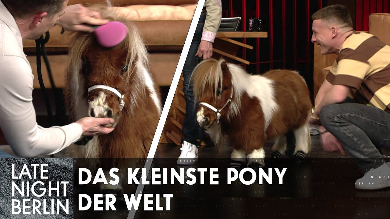 Das kleinste Pony der Welt überrascht Klaas & Felix Lobrecht im Studio | Late Night Berlin