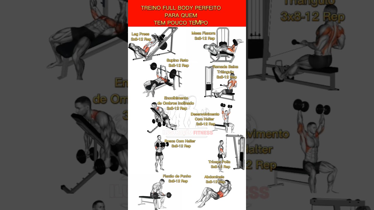 Treino Full BODY perfeito para iniciantes e para quem n&atilde;o tem tempo de treinar. #muscula&ccedil;&atilde;o